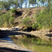 Buaraba Creek, Photo by Water Planning Ecology Group, DSITIA