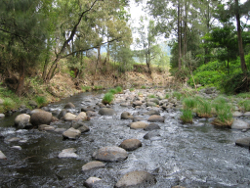 Cobbles dominate riffle substrate Running Creek Drynans Photo by Water Planning Ecology Group, DSITIA