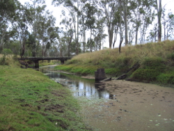 Concave and convex banks at the Stuart River upstream of Gordonbrook Dam Photo by Water Planning Ecology Group, DSITIA