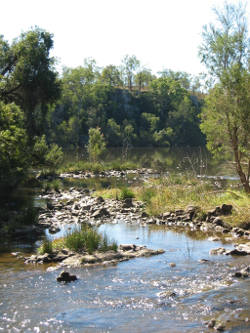 High relief in the south east freshwater biogeographic province Burnett River Mt Lawless Photo by Water Planning Ecology Group, DSITIA