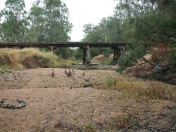 Low flows in the Stuart River near Proston Photo by Water Planning Ecology Group, DSITIA