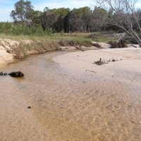 Flinders Beach, Stradbroke Island, Photo by Water Planning Ecology Group, DSITIA