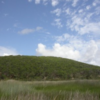Eighteen Mile Swamp, Stradbroke Island, Photo by Water Planning Ecology Group, DSITIA