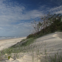 Main Beach, Stradbroke Island, Photo by Water Planning Ecology Group, DSITIA