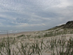 Main Beach North Stradbroke Island Photo by Water Planning Ecology Group, DSITIA