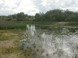 Spitfire Creek Moreton Island Photo by Water Planning Ecology Group, DSITIA