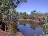 No flow spells, Photo by Water Planning Ecology Group, DSITIA