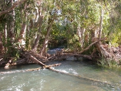 River crossing on road to Lawn Hill, Photo by Water Planning Ecology Group, DSITIA