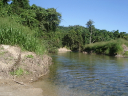 Concave and convex banks are the dominant shape in the Wet Tropics freshwater biogeographic province Photo by Water Planning Ecology Group, DSITIA