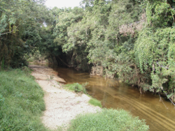 Low bank slopes in the Wet Tropics freshwater biogeographic province Photo by Water Planning Ecology Group, DSITIA