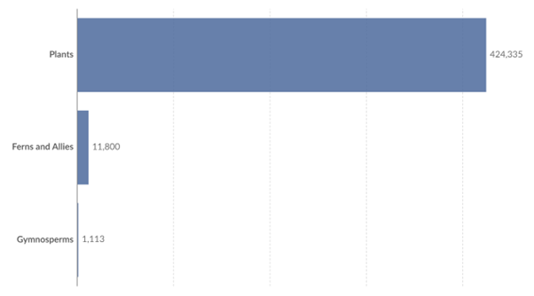 IUCN Red List - Described Flora Species Chart (2022) Image by IUCN