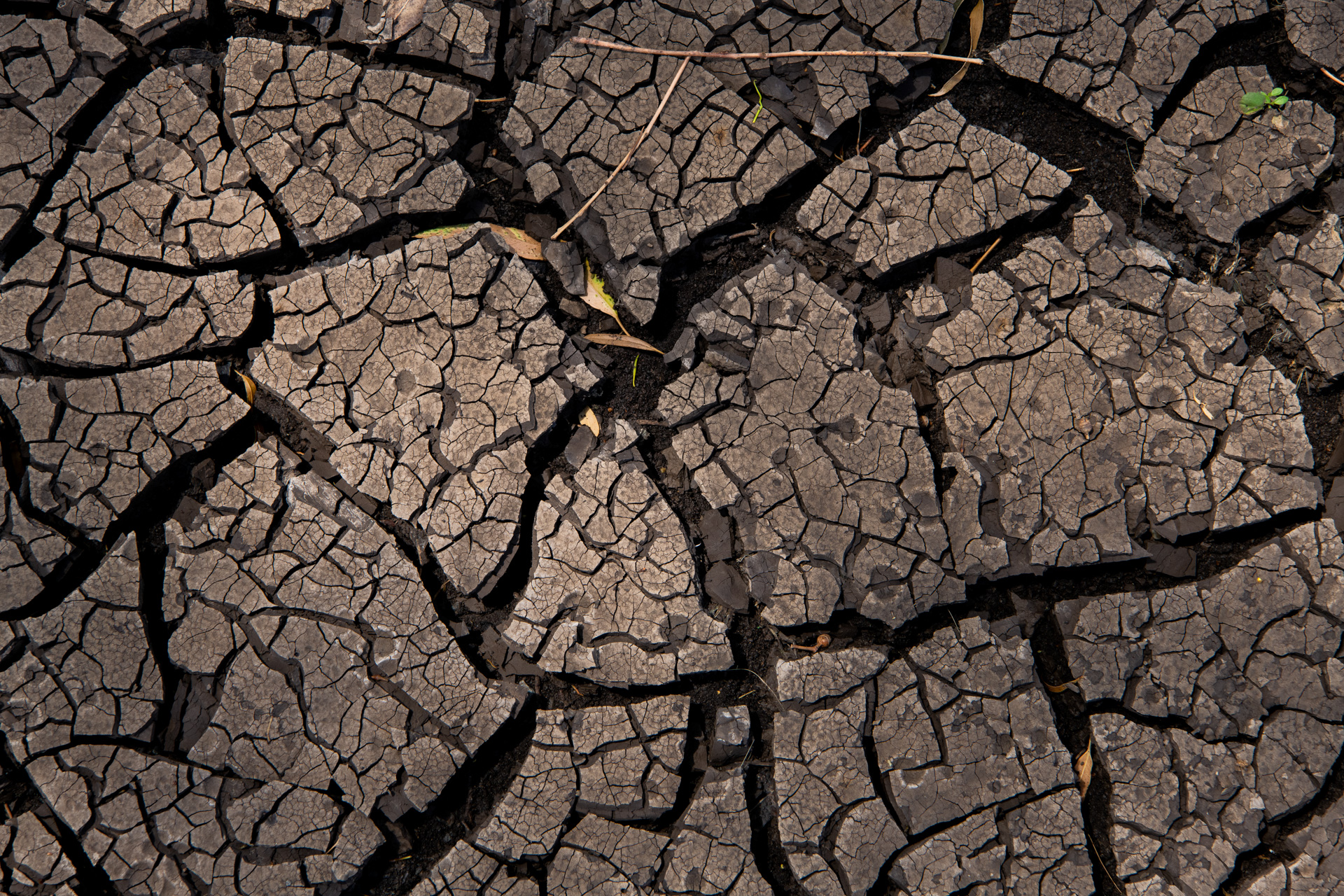 Cracked earth, Condamine River. Photo by Gary Cranitch © Queensland Museum