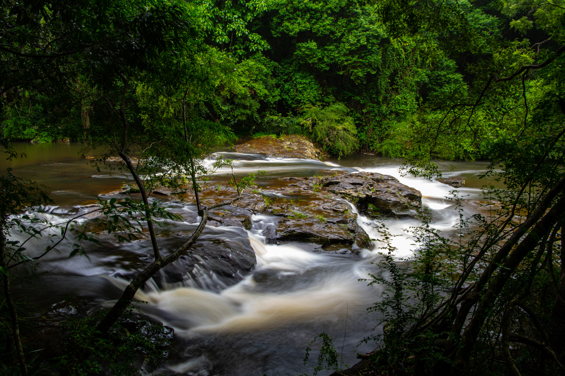 Gardiner's Falls, Obi Obi Creek. Photo by Gary Cranitch © Queensland Museum