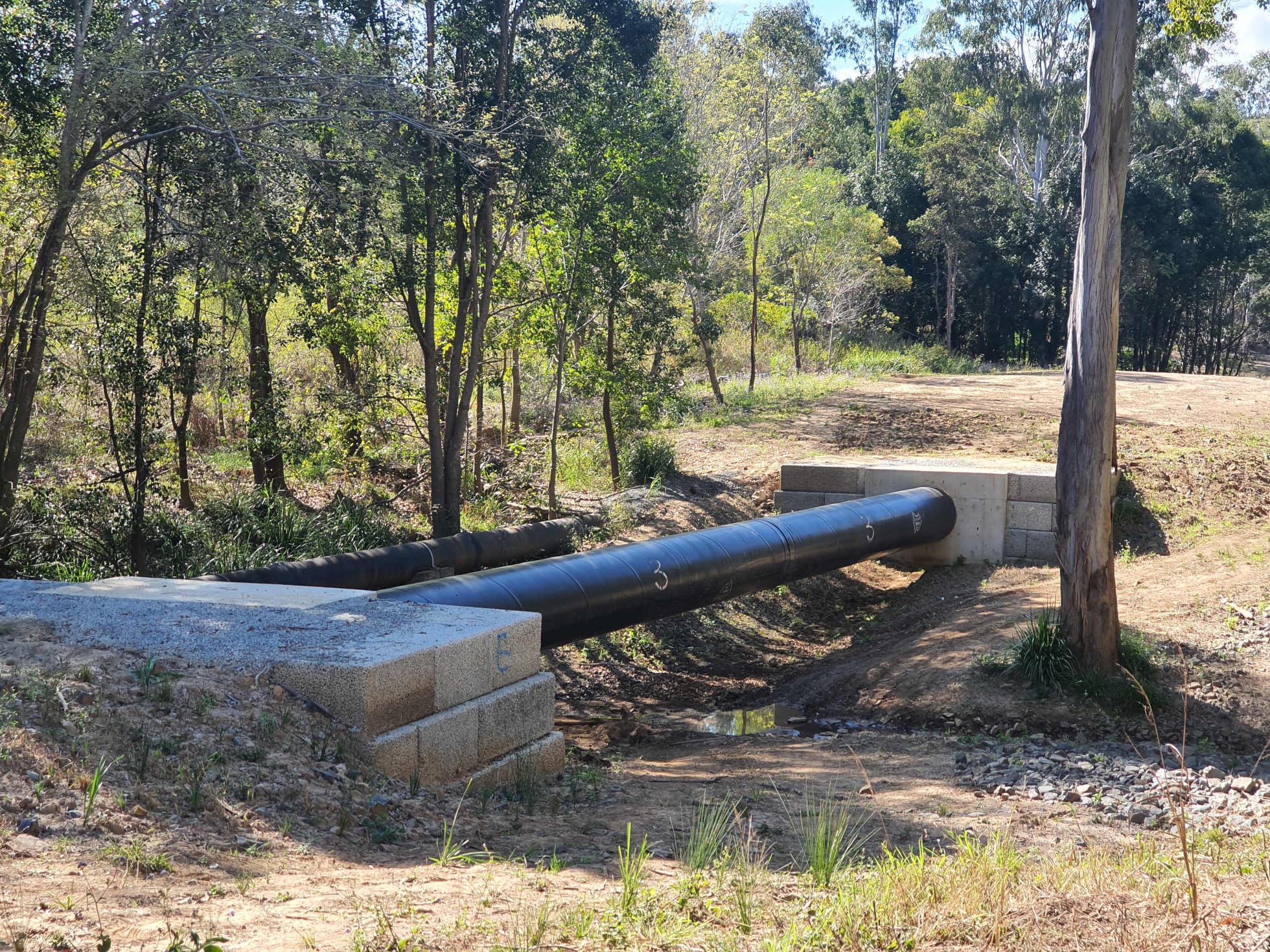 Trunk sewer pipe alongside a waterway in South East QLD. Photo by Natasha Jones
