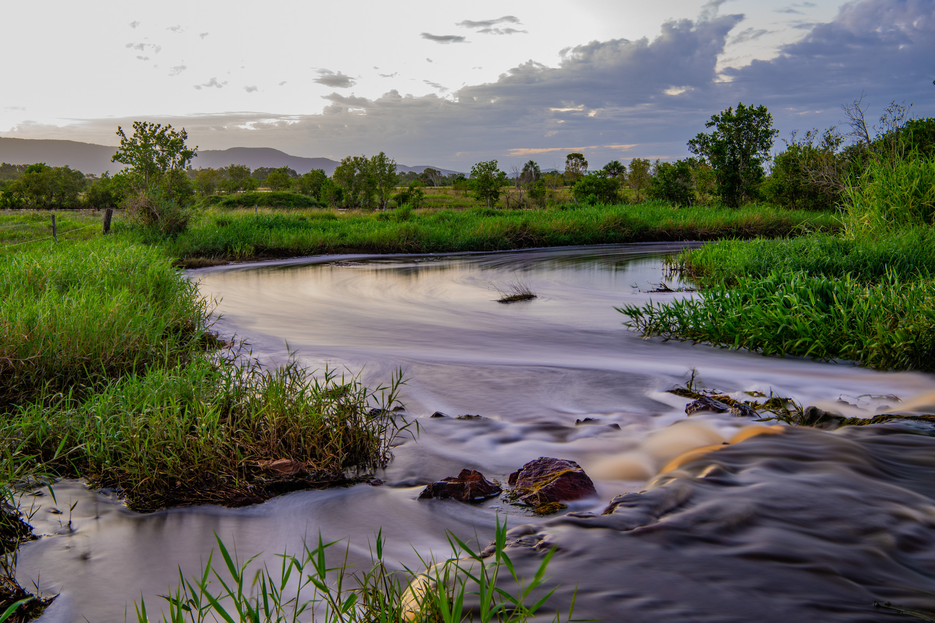 Lowland river currents near Mackay. Photo by Gary Cranitch © Queensland Museum