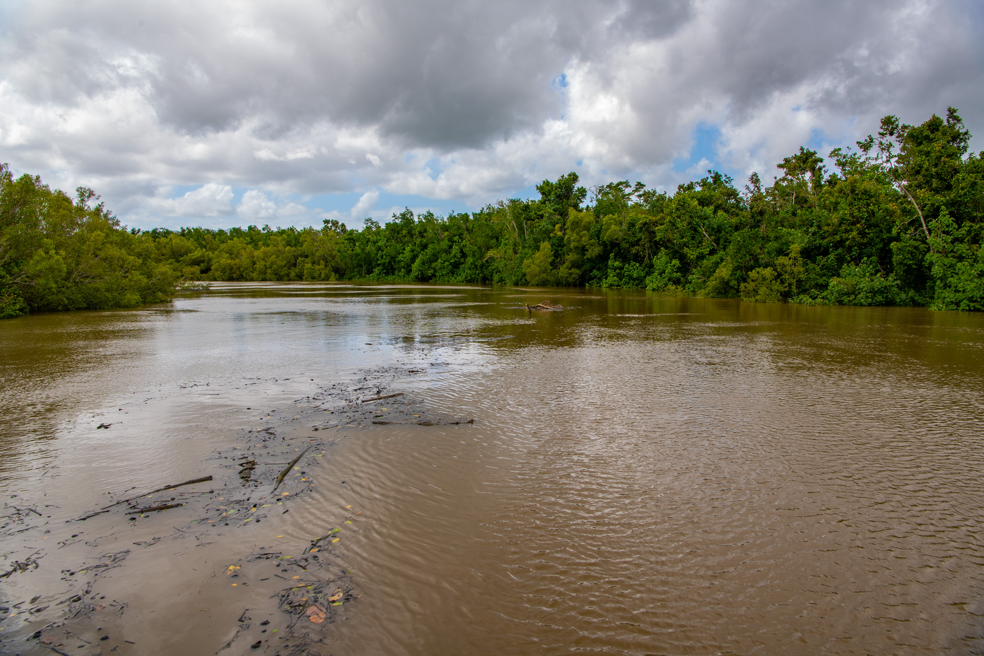 Proserpine River, Goorganga Plains. Photo by Gary Cranitch © Queensland Museum