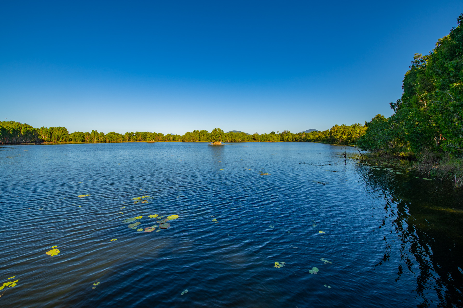 Cattana Wetlands Jabiru Lake, Dunne Road, Smithfield. Photo by Gary Cranitch © Queensland Museum