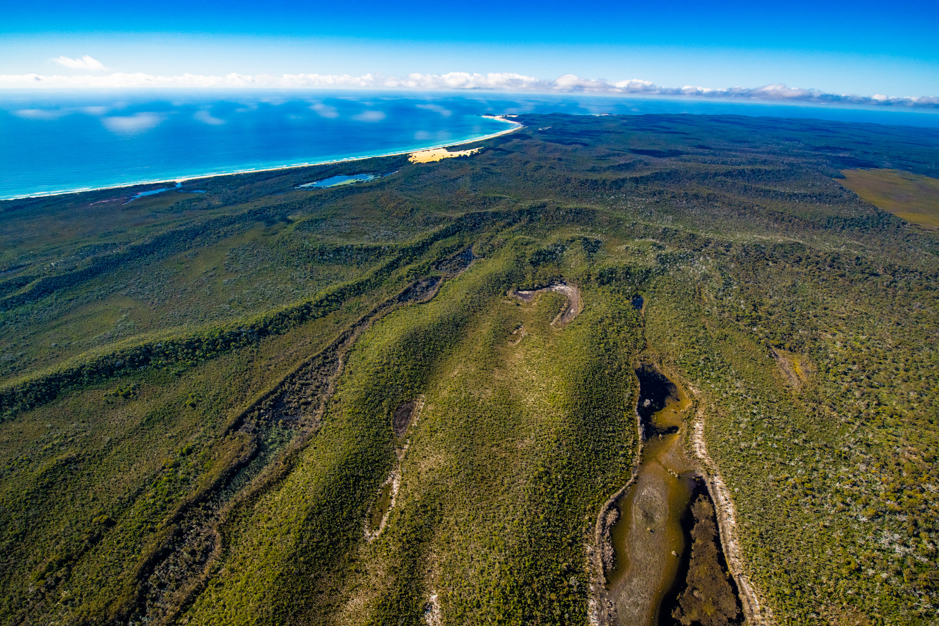 Aerial view of parabolic dunes and ocean beach, K'gari. Photo by Gary Cranitch © Queensland Museum