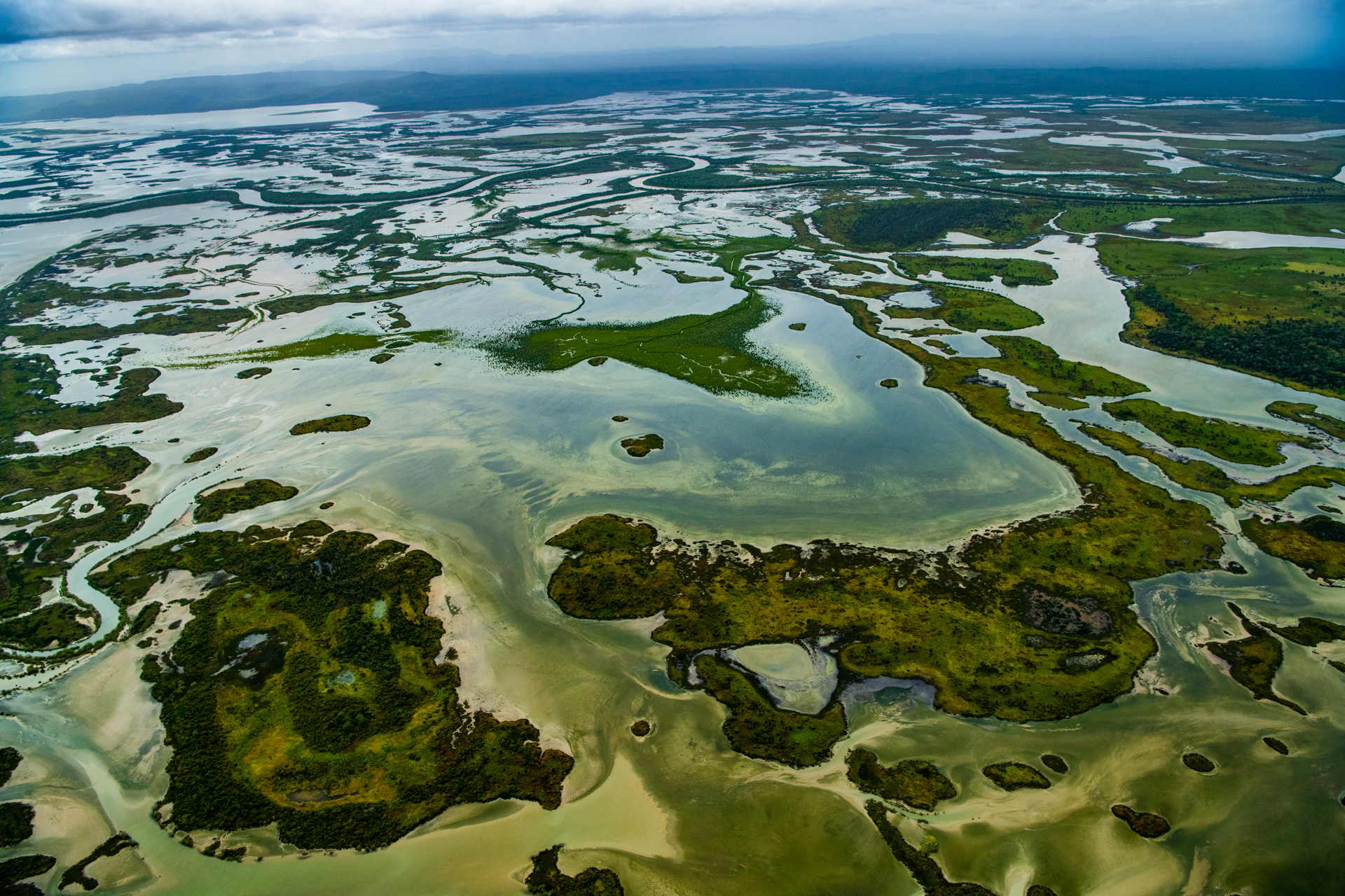 Tidal pools near the Bizant River, Lakefield. Photo by Gary Cranitch © Queensland Museum