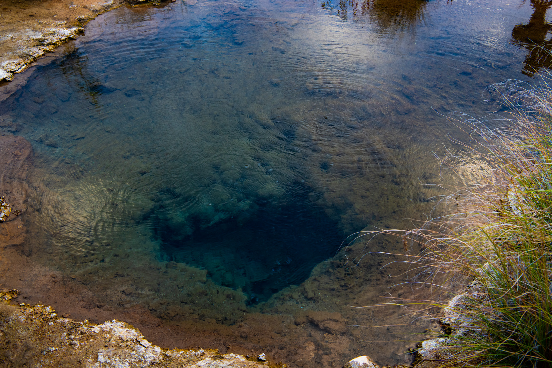 Geothermally heated groundwater reaches the ground surface from vents at the top of the spring mound. Photo by Gary Cranitch © Queensland Museum