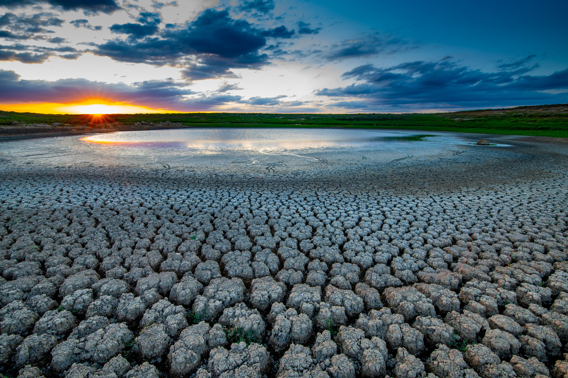 Lake Clarendon, dry from a period of low rainfaill. Photo by Gary Cranitch © Queensland Museum