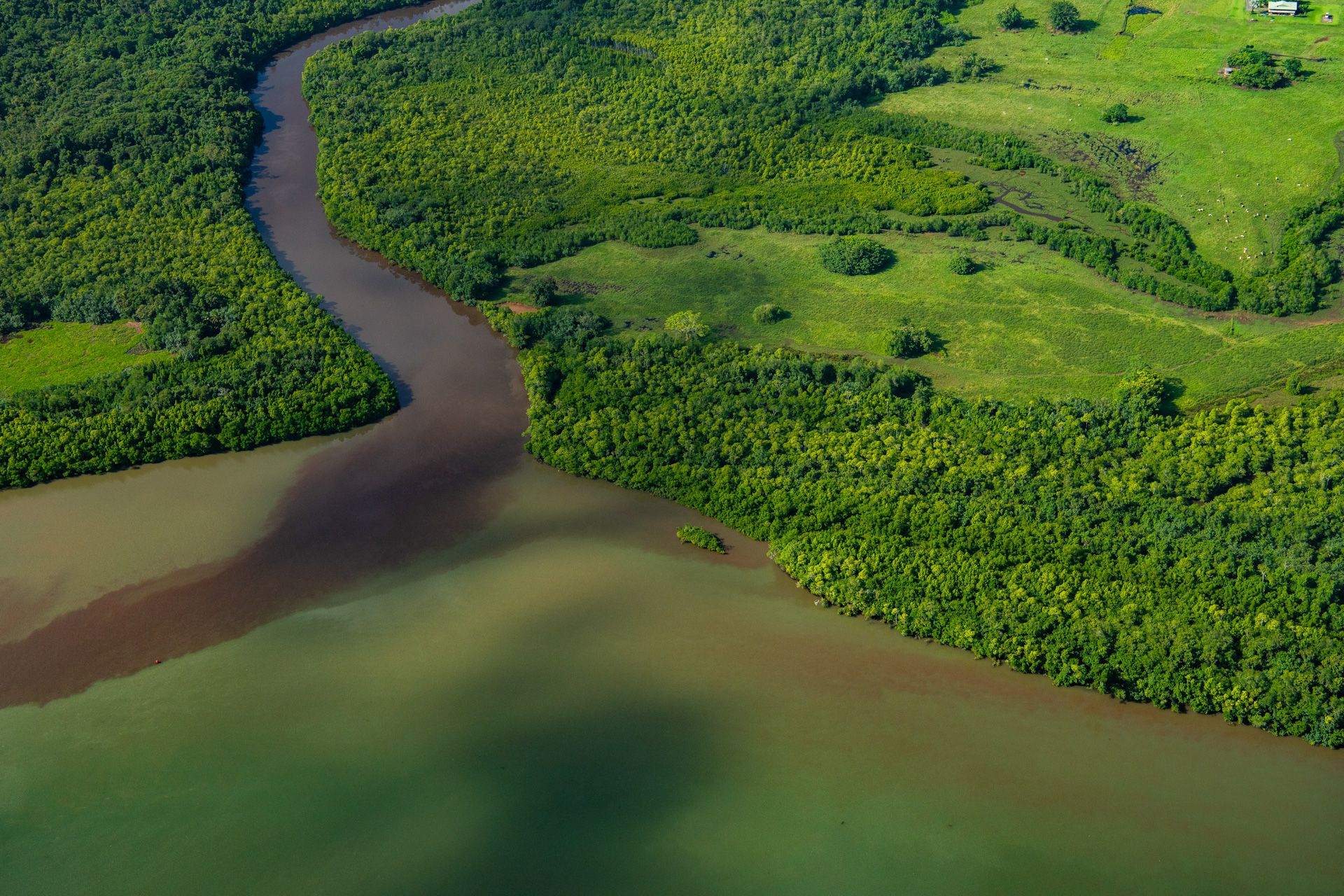 Sediment plume in the Johnstone River, Ninds Creek. Photo by Gary Cranitch © Queensland Museum