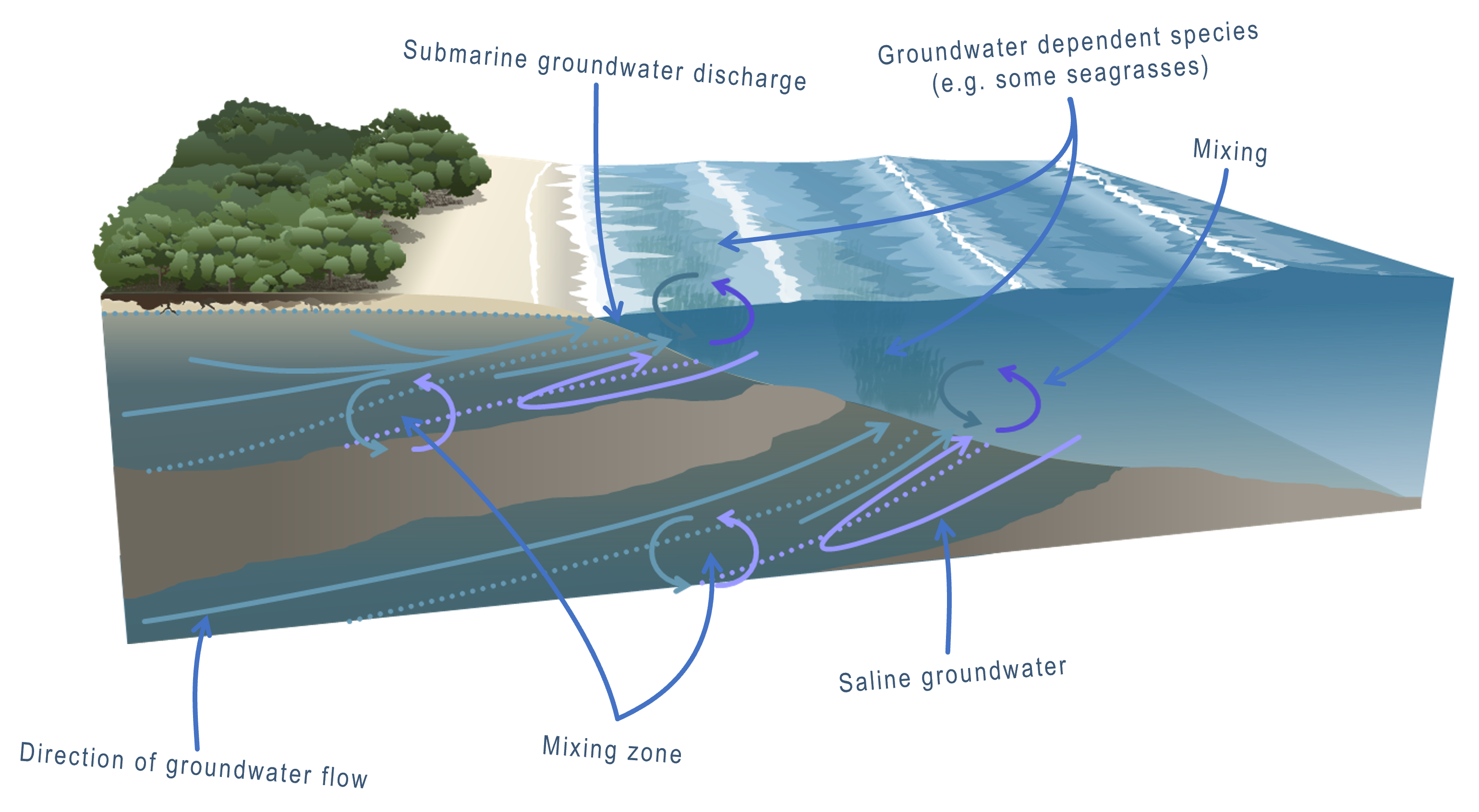 Groundwater discharge to the sea. Waves and tides are involved in groundwater pumping and mixing