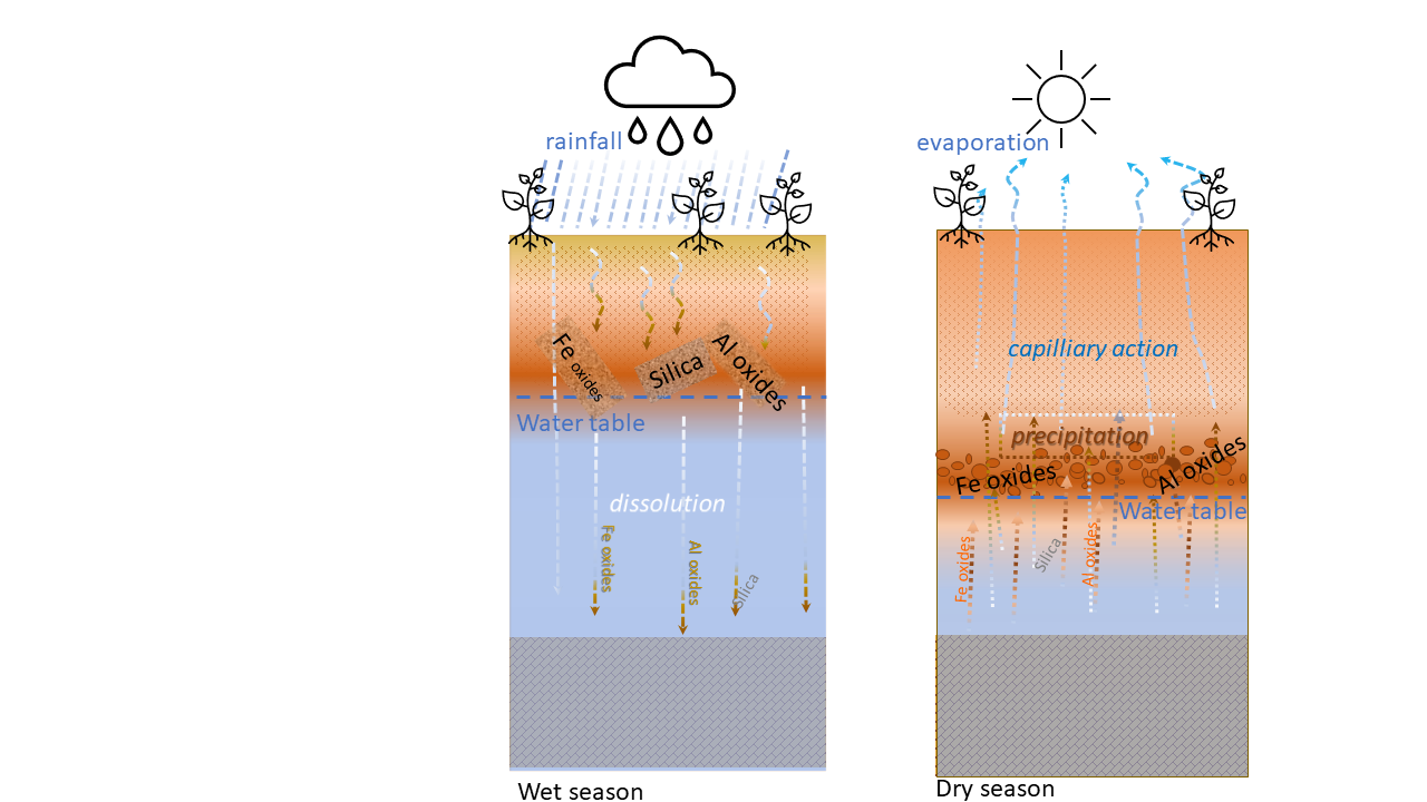 The process of induration