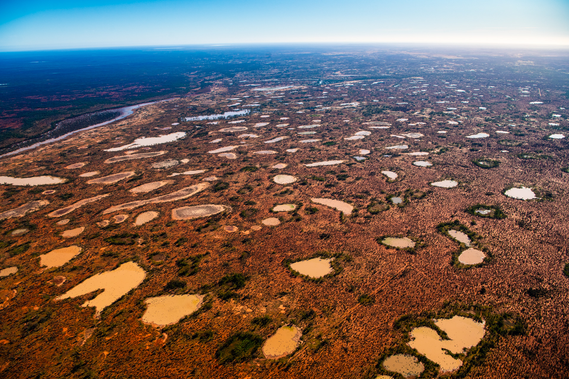 Currawinya National Park Photo by Gary Cranitch © Queensland Museum