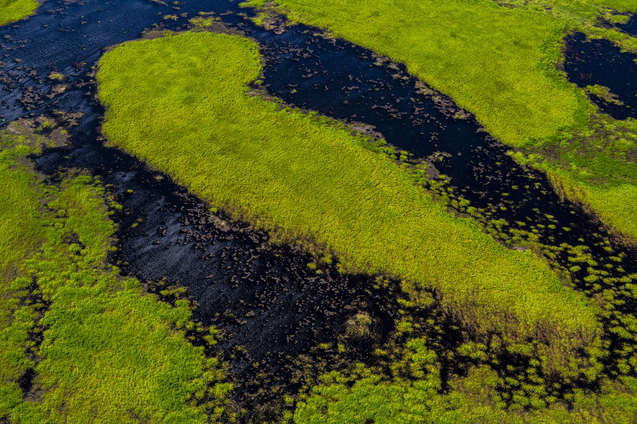 Gorganga Plains Photo by Gary Cranitch © Queensland Museum