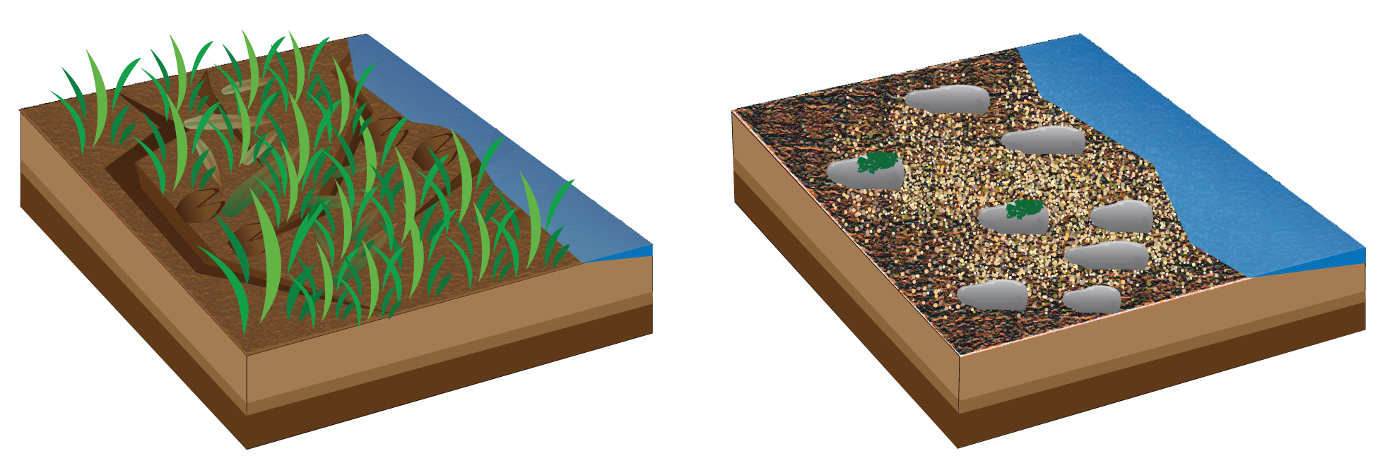 Micro-patch scale conceptual models. Image by Queensland