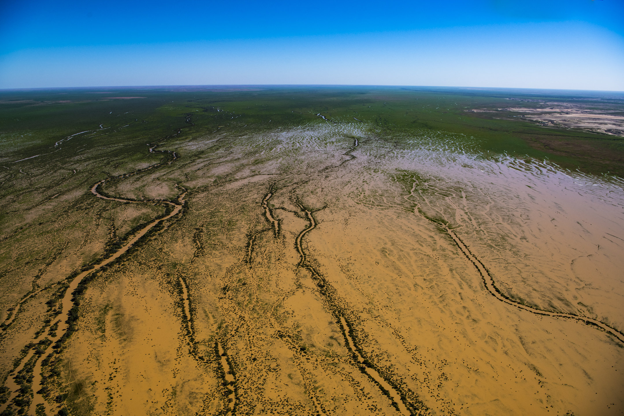 Western Queensland Photo by Gary Cranitch © Queensland Museum