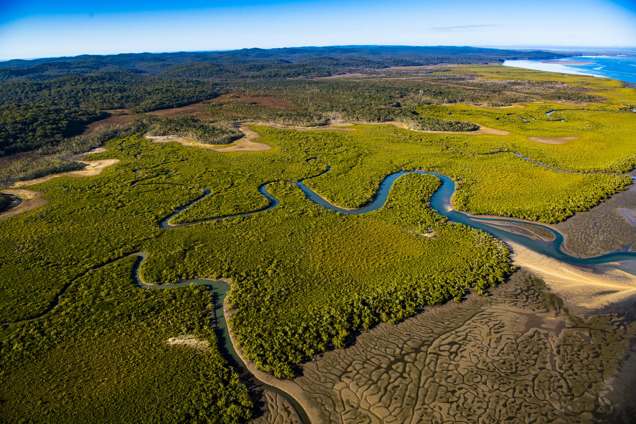 Eastern Queensland Photo by Gary Cranitch © Queensland Museum