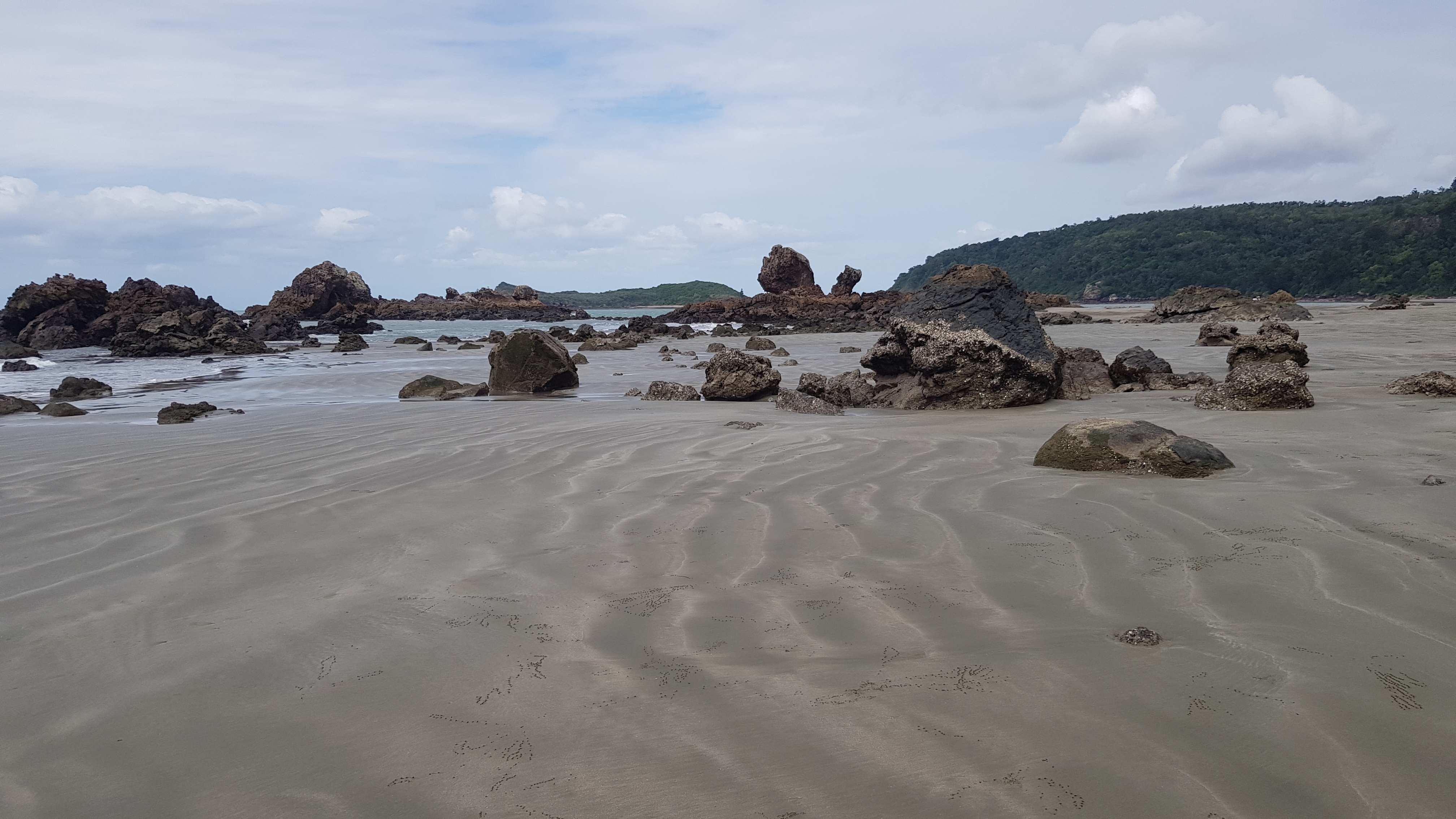 Cape Hillsborough. Photo by Maria Zann