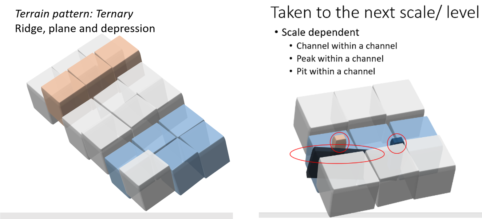 Ternary combinations and cross scale patterns, photo by Queensland Government