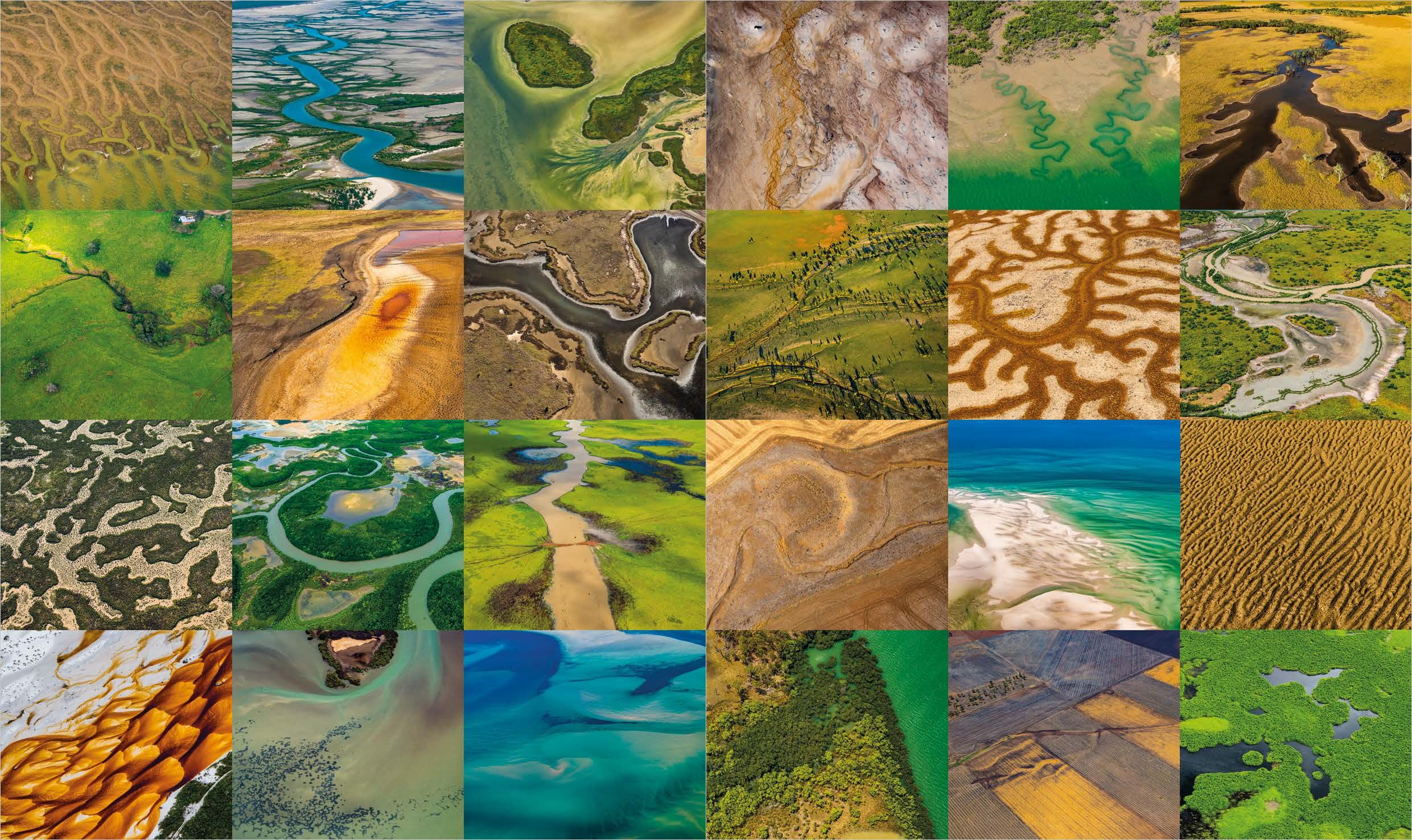 Wetlands of Queensland book sample page, © Queensland Museum