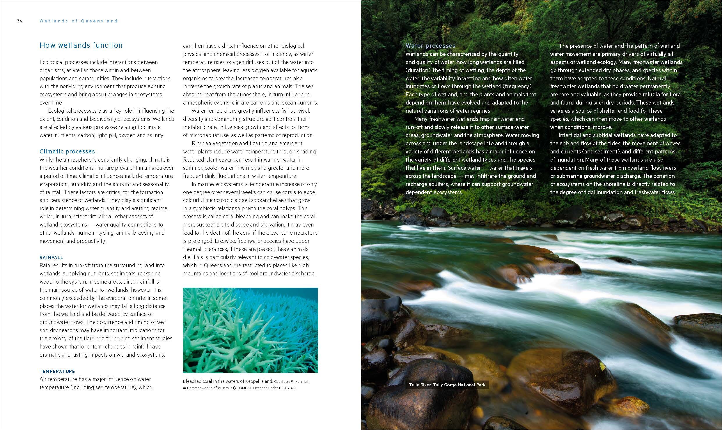 Wetlands of Queensland book sample page, © Queensland Museum