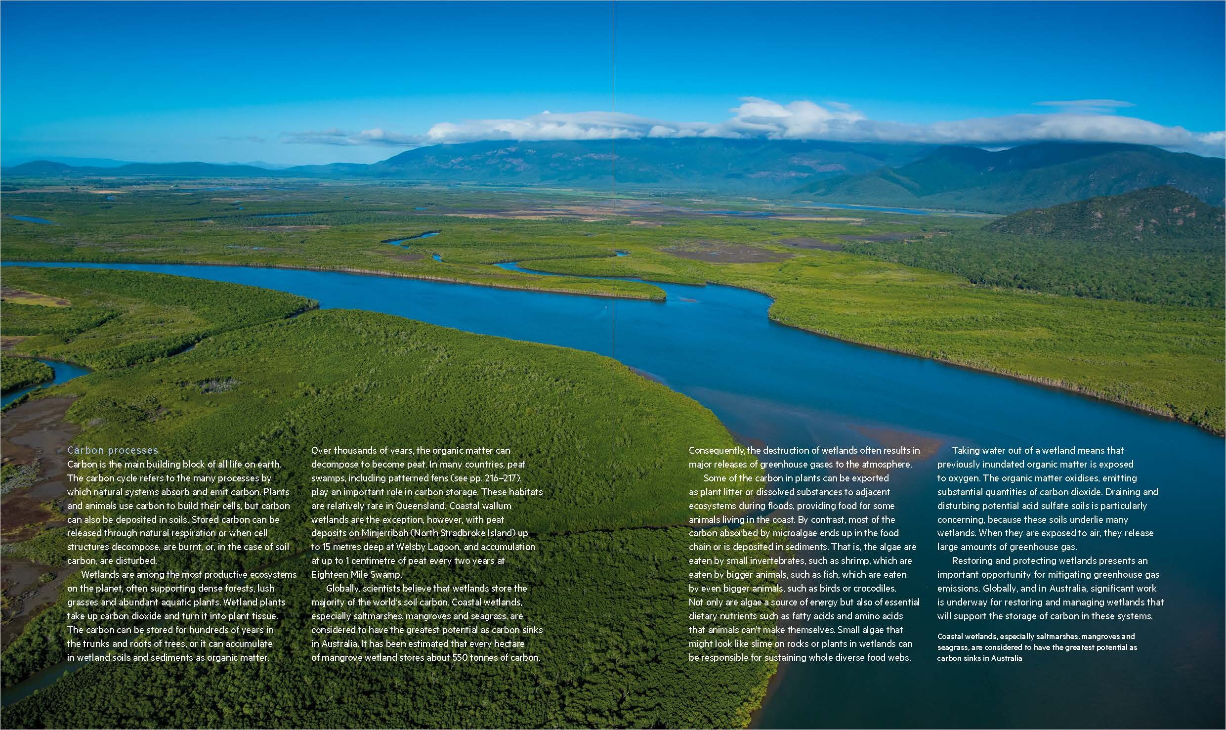Wetlands of Queensland book sample page, © Queensland Museum