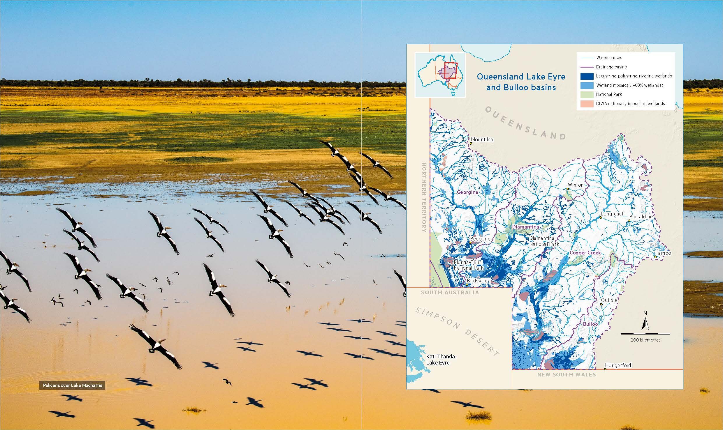 Wetlands of Queensland book sample page, © Queensland Museum