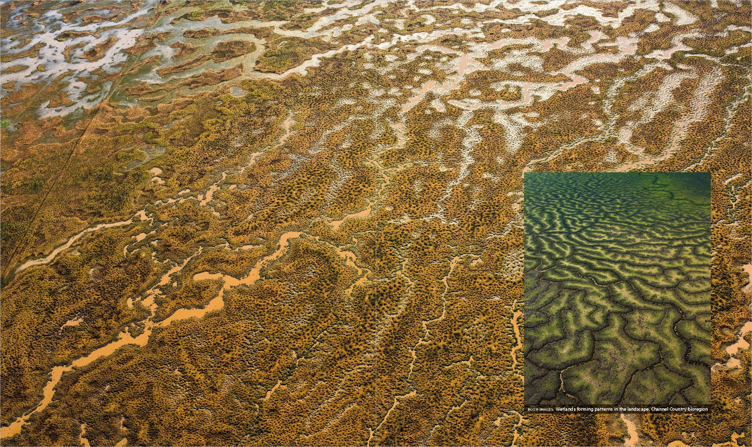 Wetlands of Queensland book sample page, © Queensland Museum