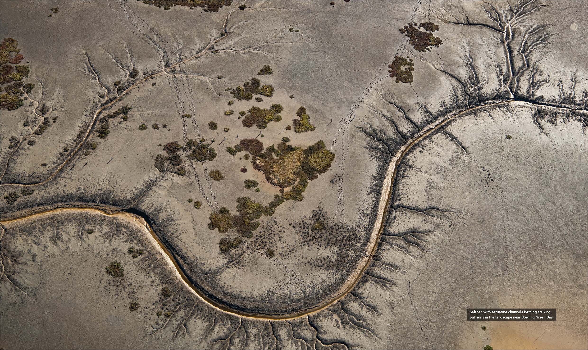 Wetlands of Queensland book sample page, © Queensland Museum