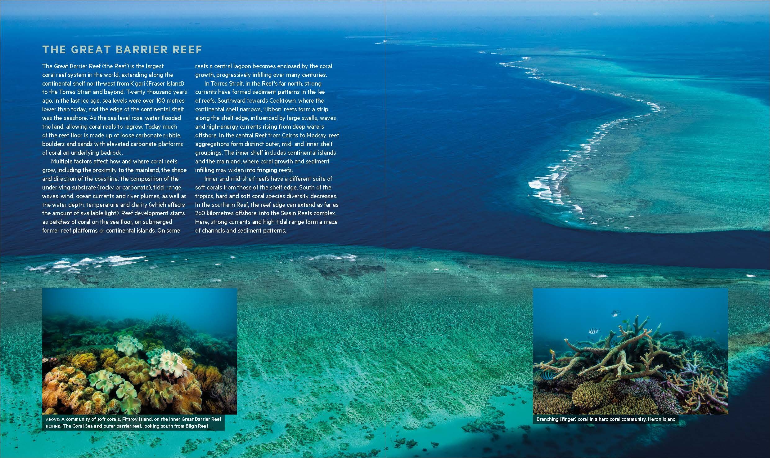 Wetlands of Queensland book sample page, © Queensland Museum