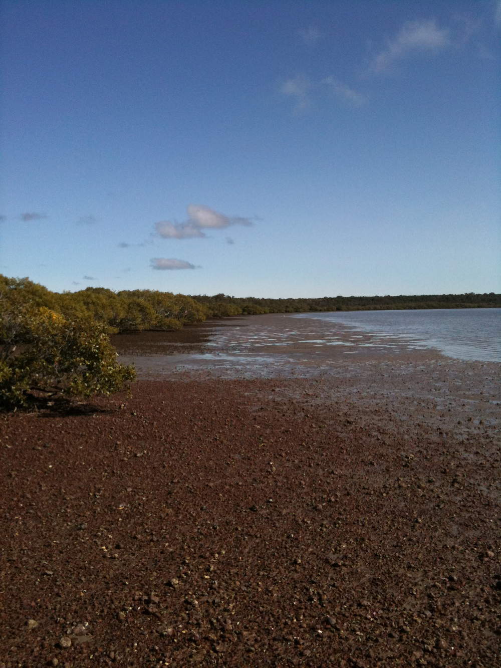 Unconsolidated gravel, Photo by Maria Zann