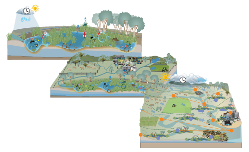 Pictorial conceptual model montage. Images by Lana Baskerville