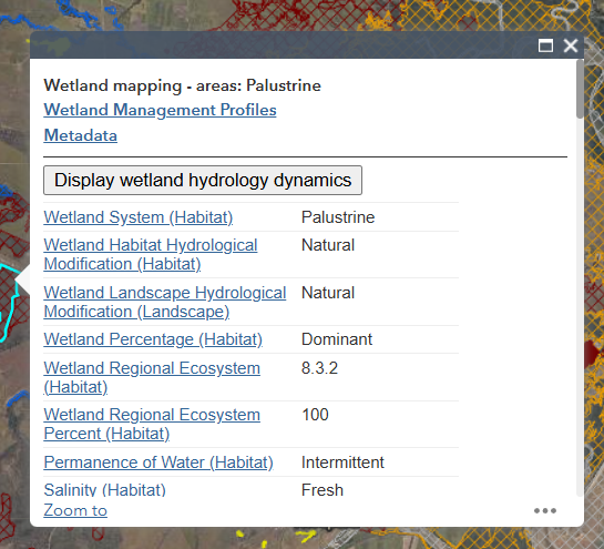 WetlandMaps pop-up with 'Display wetland hydrology dynamics' button