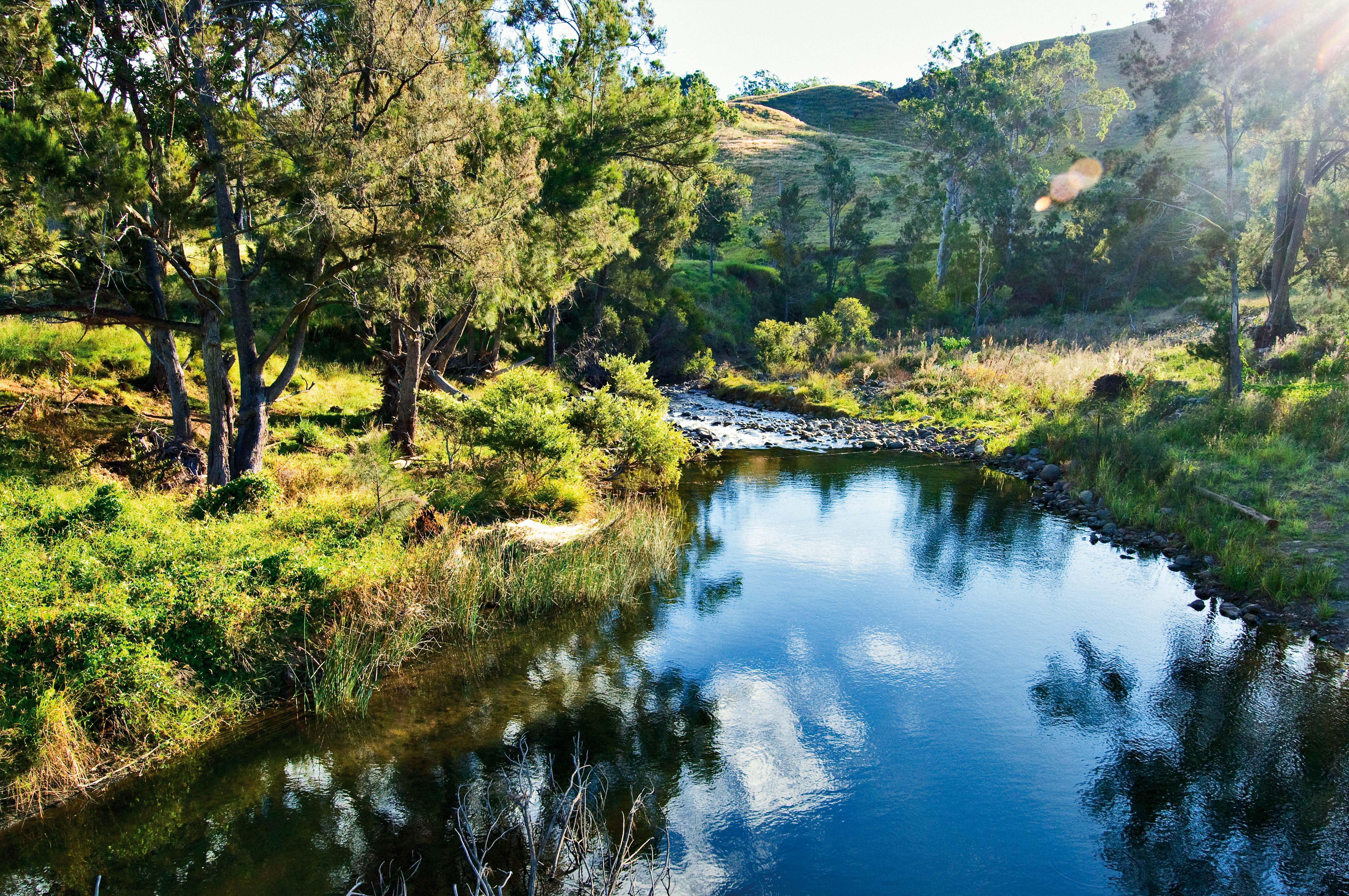 Lost World, Logan Catchment Photo by Scenic Rim Regional Council