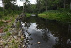 Upper Tallebudgera Smales Park Photo by Gold Coast City Council