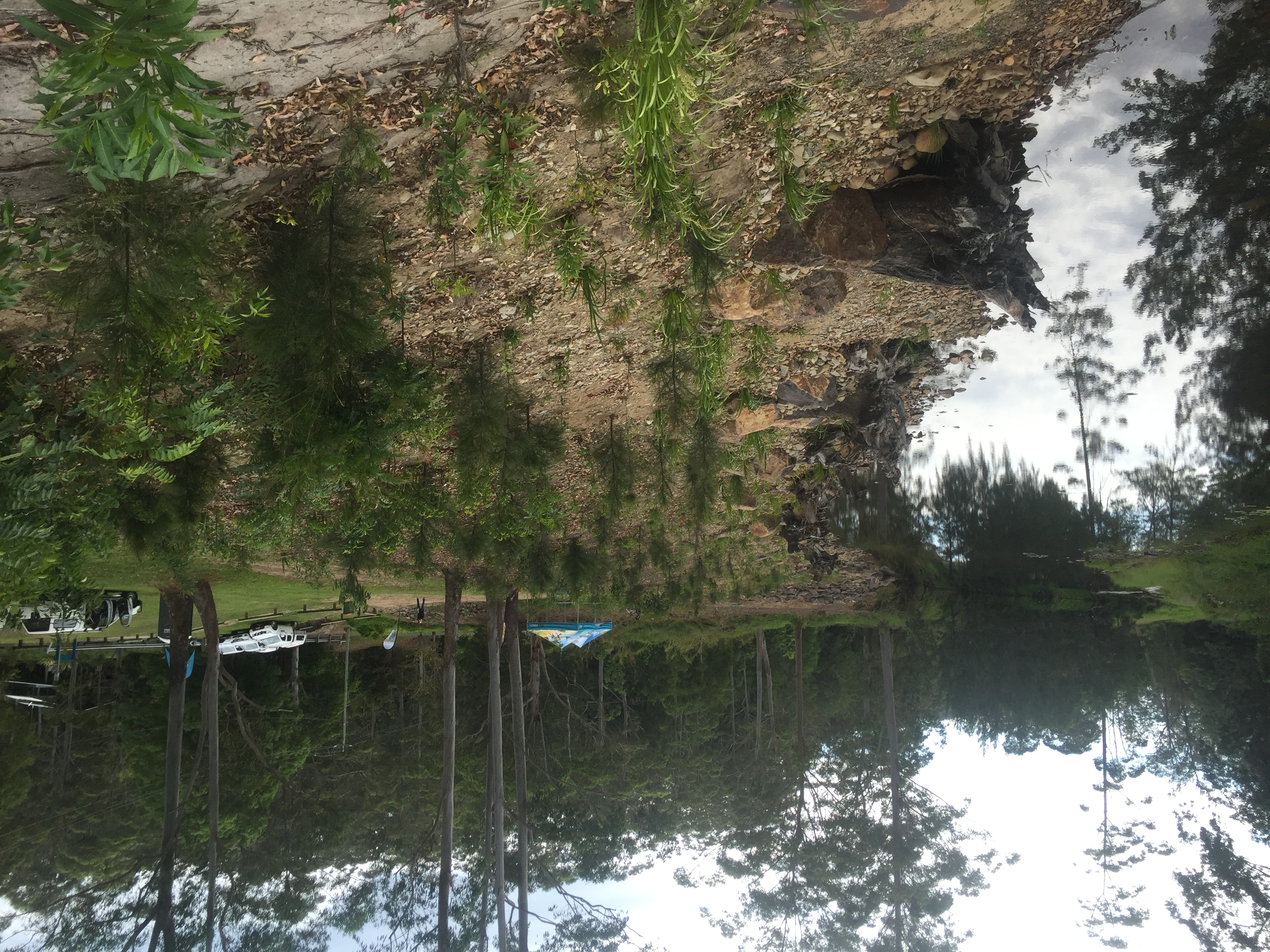 Progression of river rehabilitation project work at Smales Park, Tallebudgera, in <strong>2015</strong>, Photo by Misko Ivezich