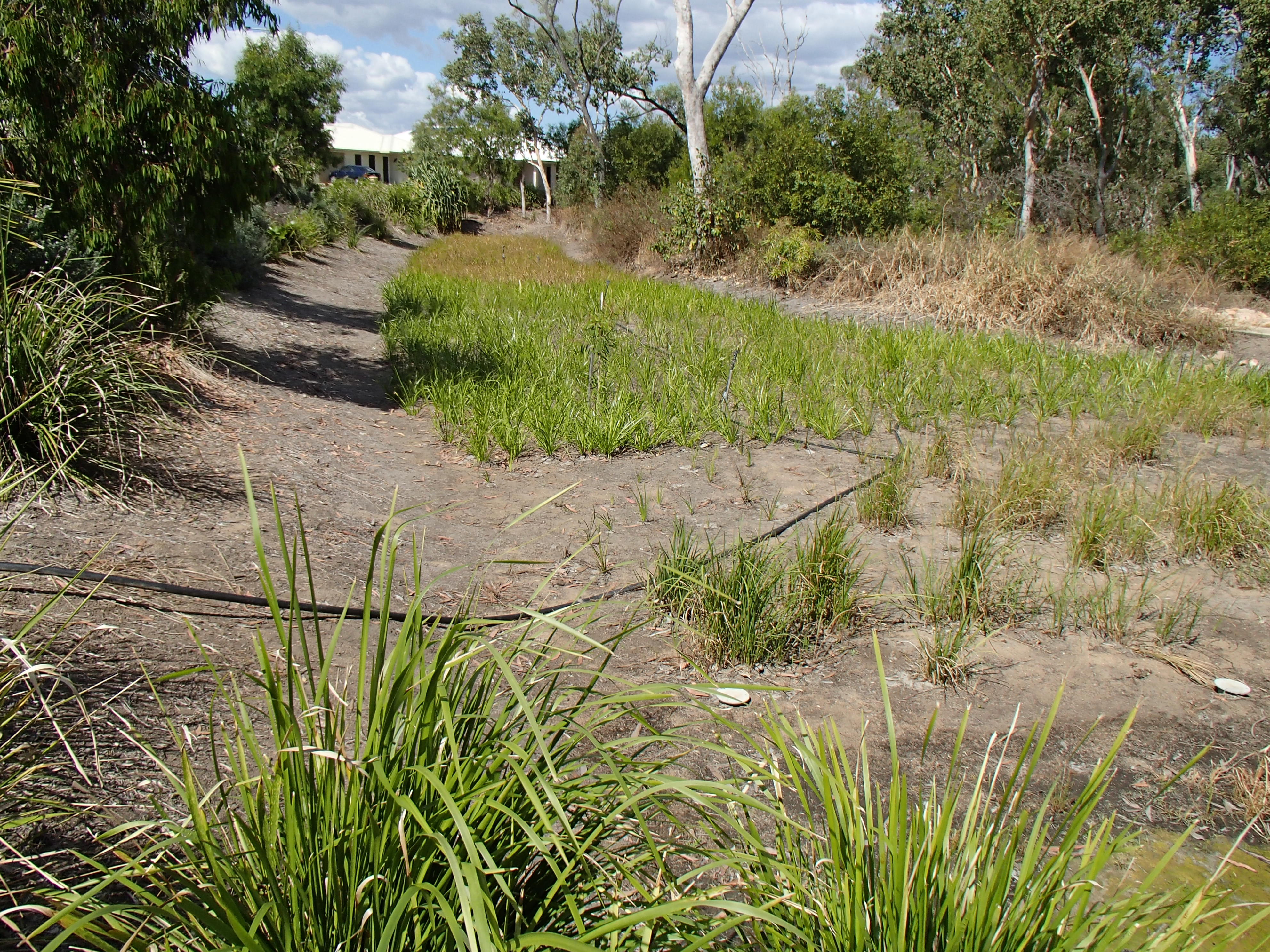 Stormwater design in an urban environment