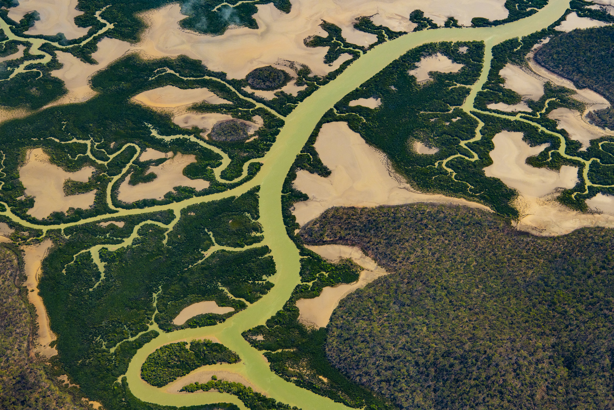 Photo by Gary Cranitch © Queensland Museum